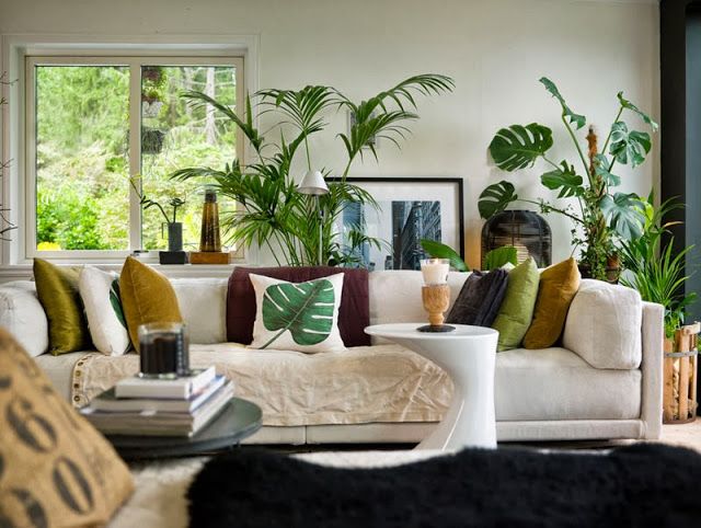 estilo tropical decoração