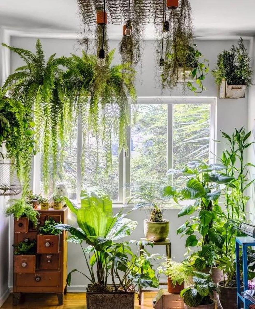 como evitar erros comuns na decoração estilo tropical