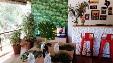 decoração tropical versus estilo boho chic qual escolher