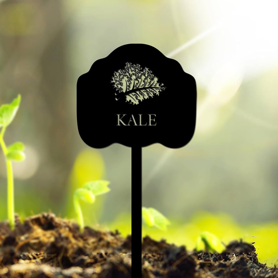 etiquetas para horta