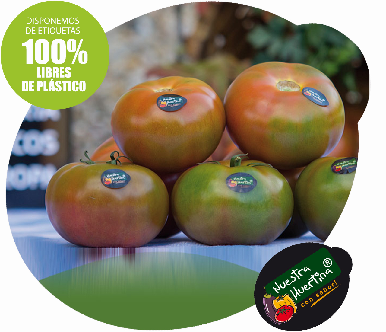 DIY: Crie suas Próprias Etiquetas de Plantas com Materiais Reciclados