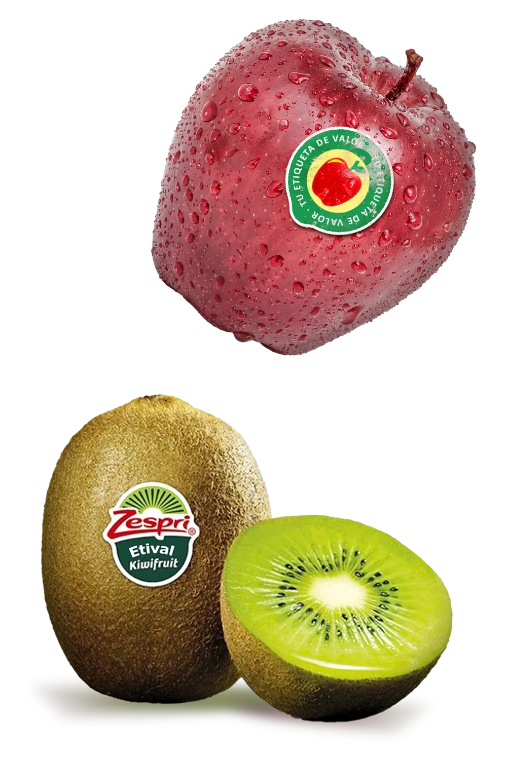 etiquetas para horta