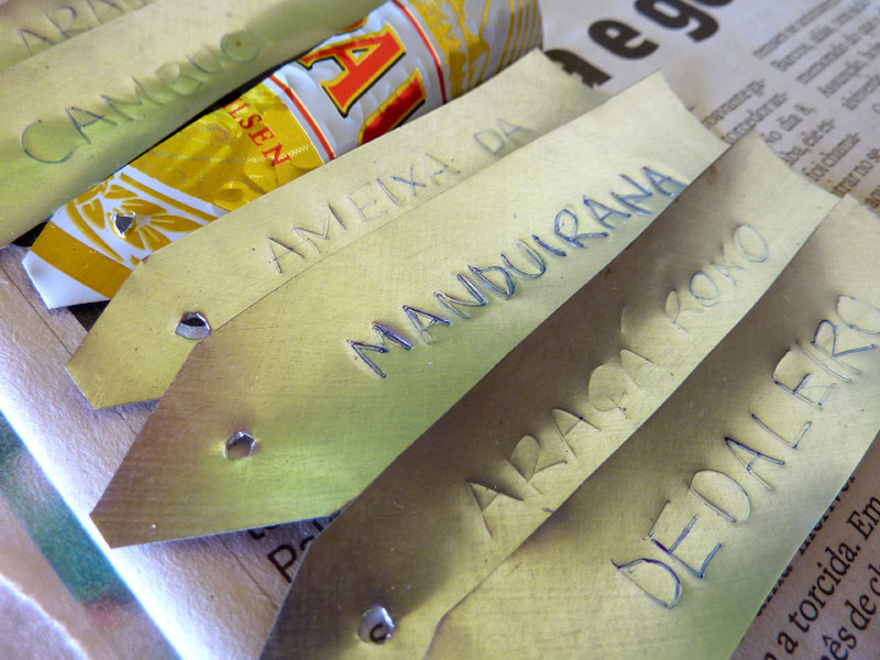 Guia Completo: Como Escolher a Etiqueta Ideal para sua Horta