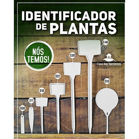 DIY: Crie suas Próprias Etiquetas de Plantas com Materiais Reciclados