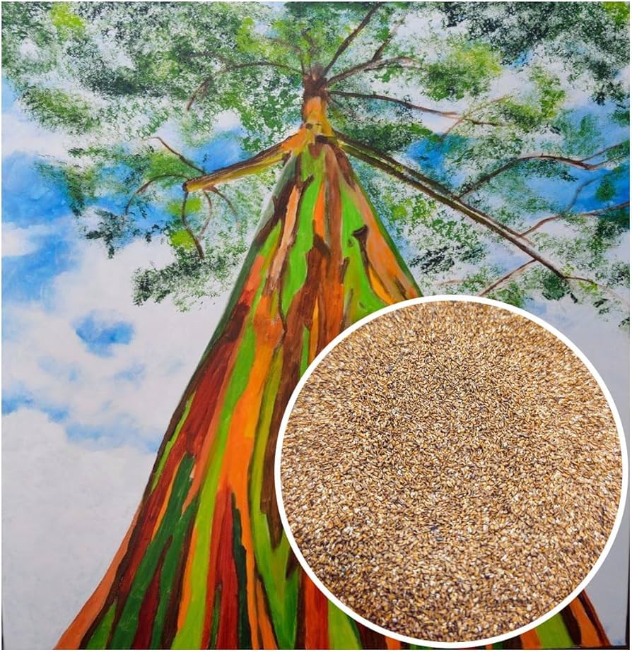 erros comuns ao plantar eucalipto arco iris