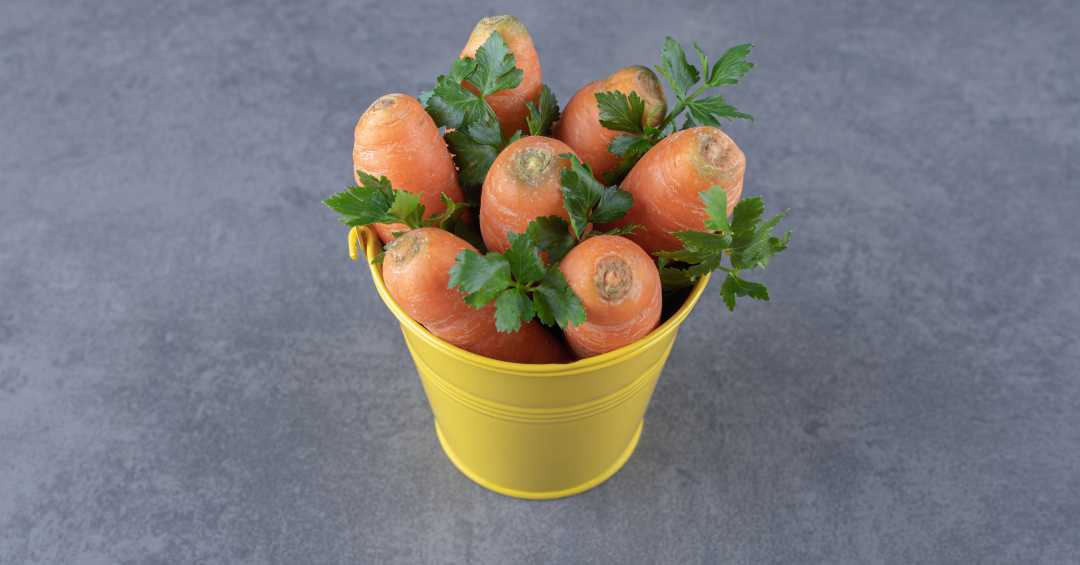 alimentos que combatem a falta de vitamina a