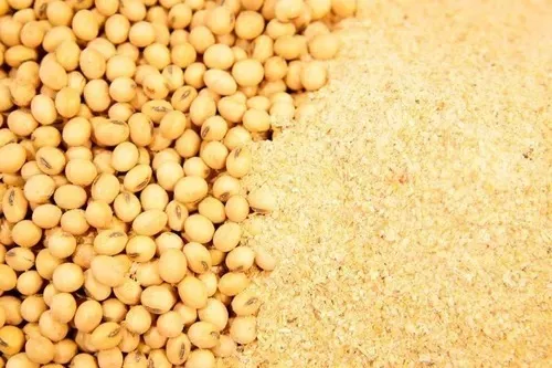 farelo de soja 40kg
