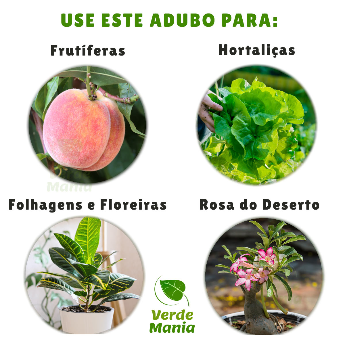 farinha de ossos para que serve