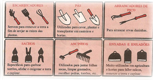 Como escolher o regador ideal para sua horta