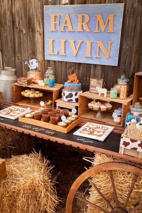 креативные идеи простого декора фермерской вечеринки
