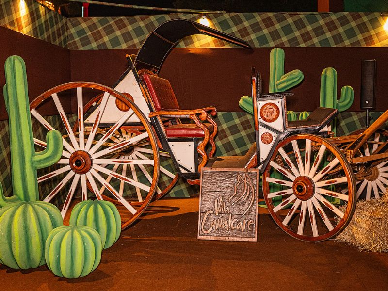 распространенные ошибки, которых следует избегать при декоре фермерской вечеринки