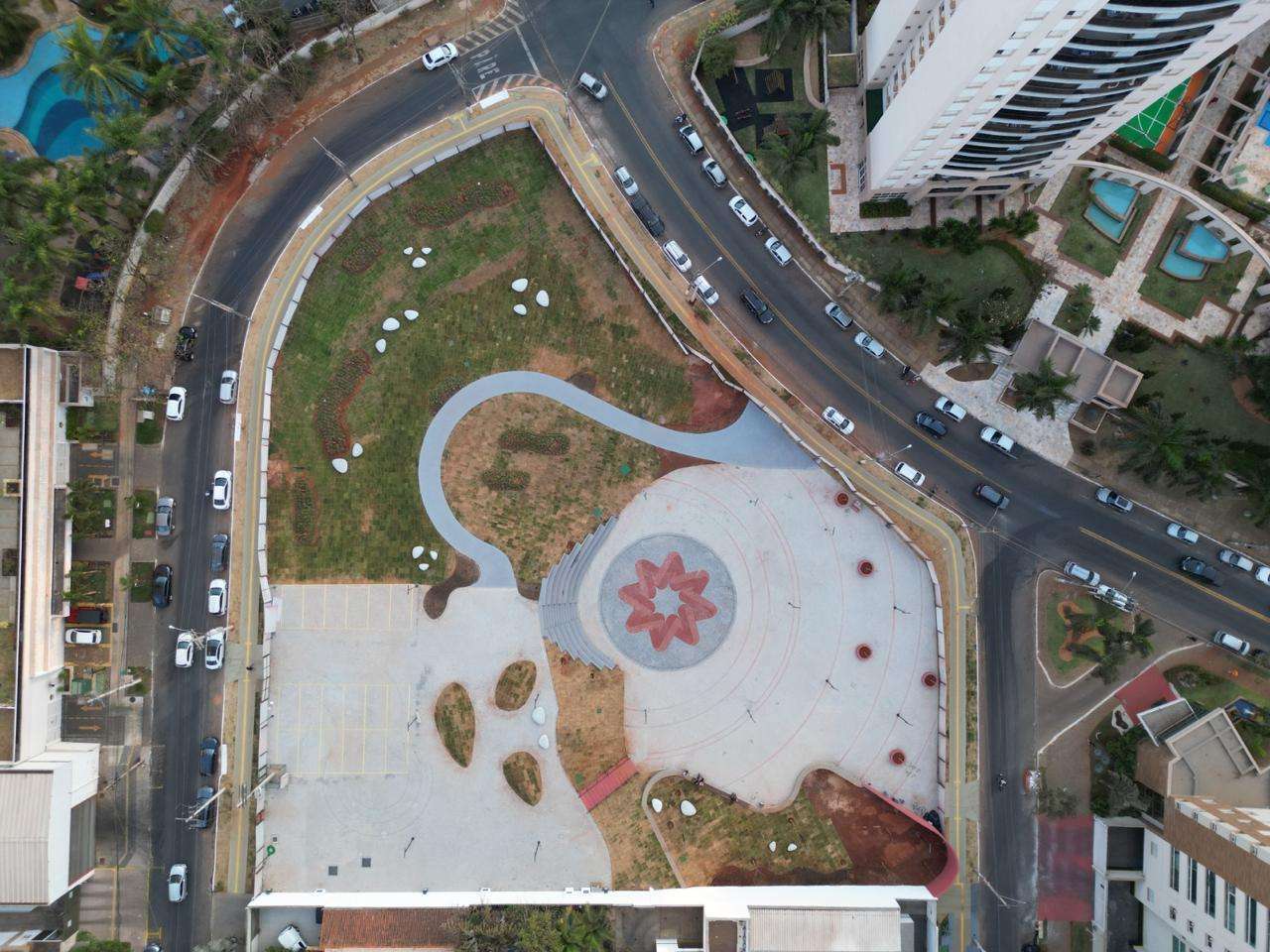 flamboyant vs ipê: qual a melhor árvore para seu jardim