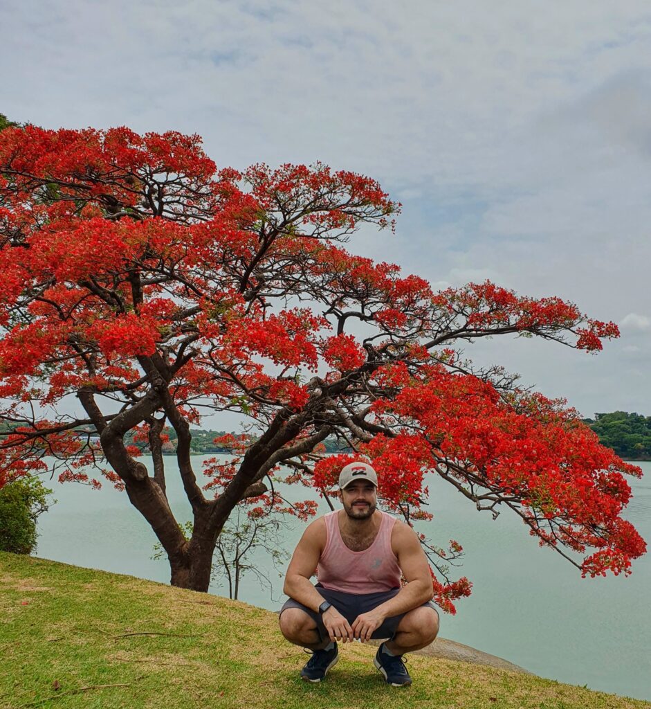 flamboyant vs ipê: qual a melhor árvore para seu jardim