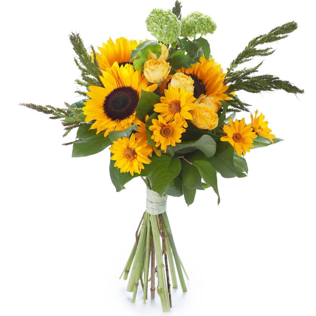 flores para presentear em agosto