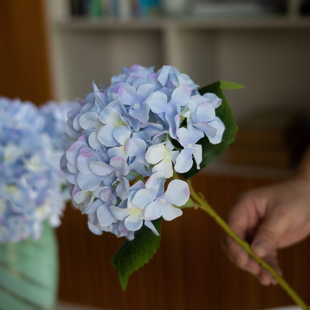 Hortênsia azul preço
