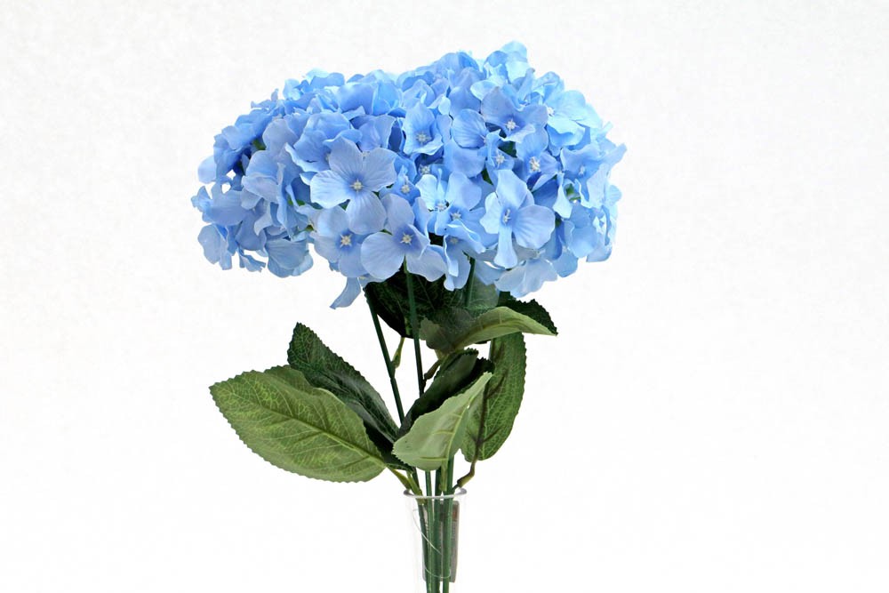 Hortênsia azul pH solo