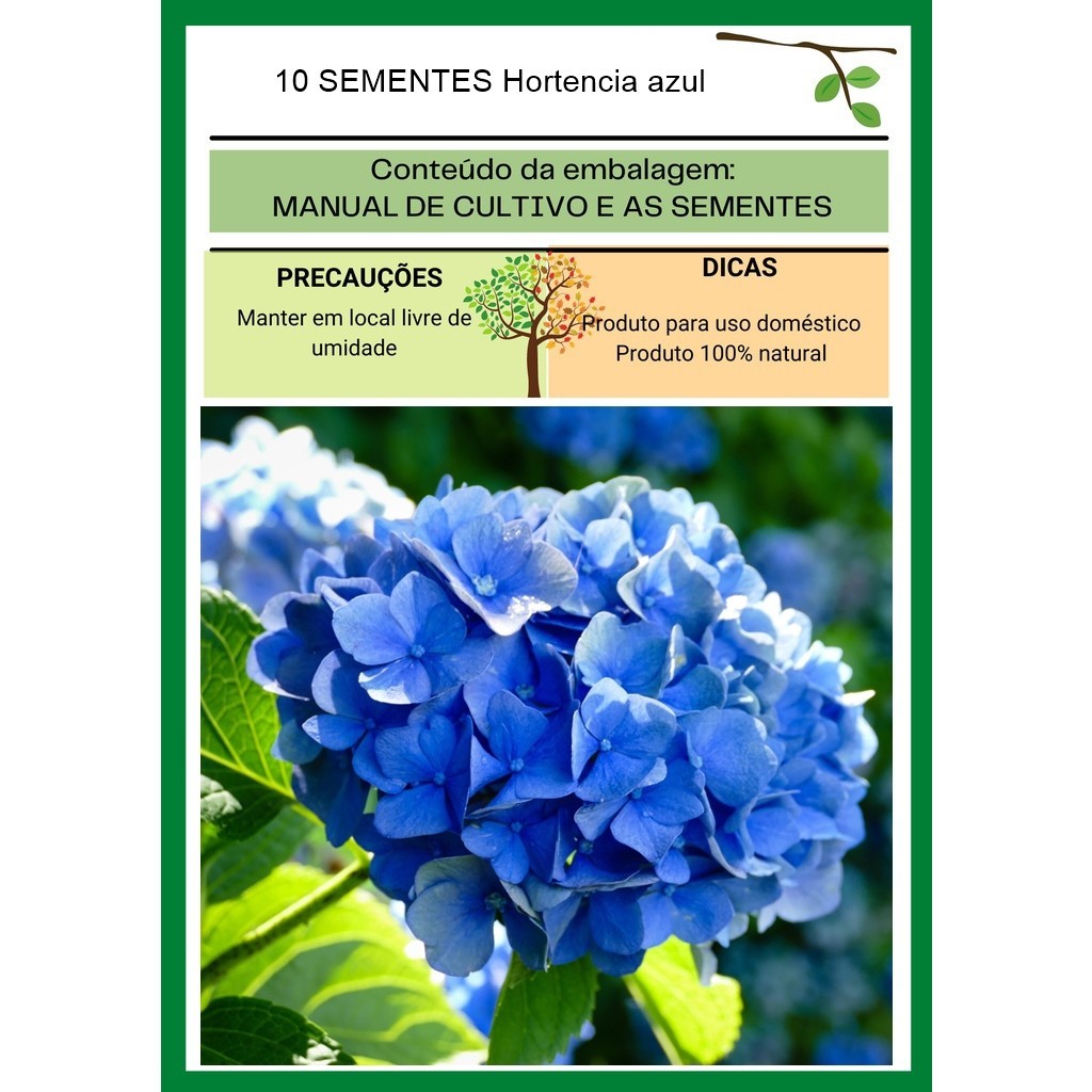 Cultivo de hortênsia azul