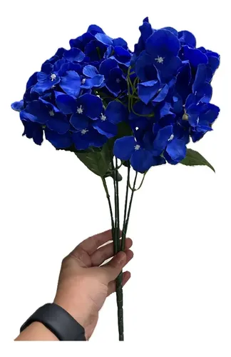 Hortênsia azul em vaso
