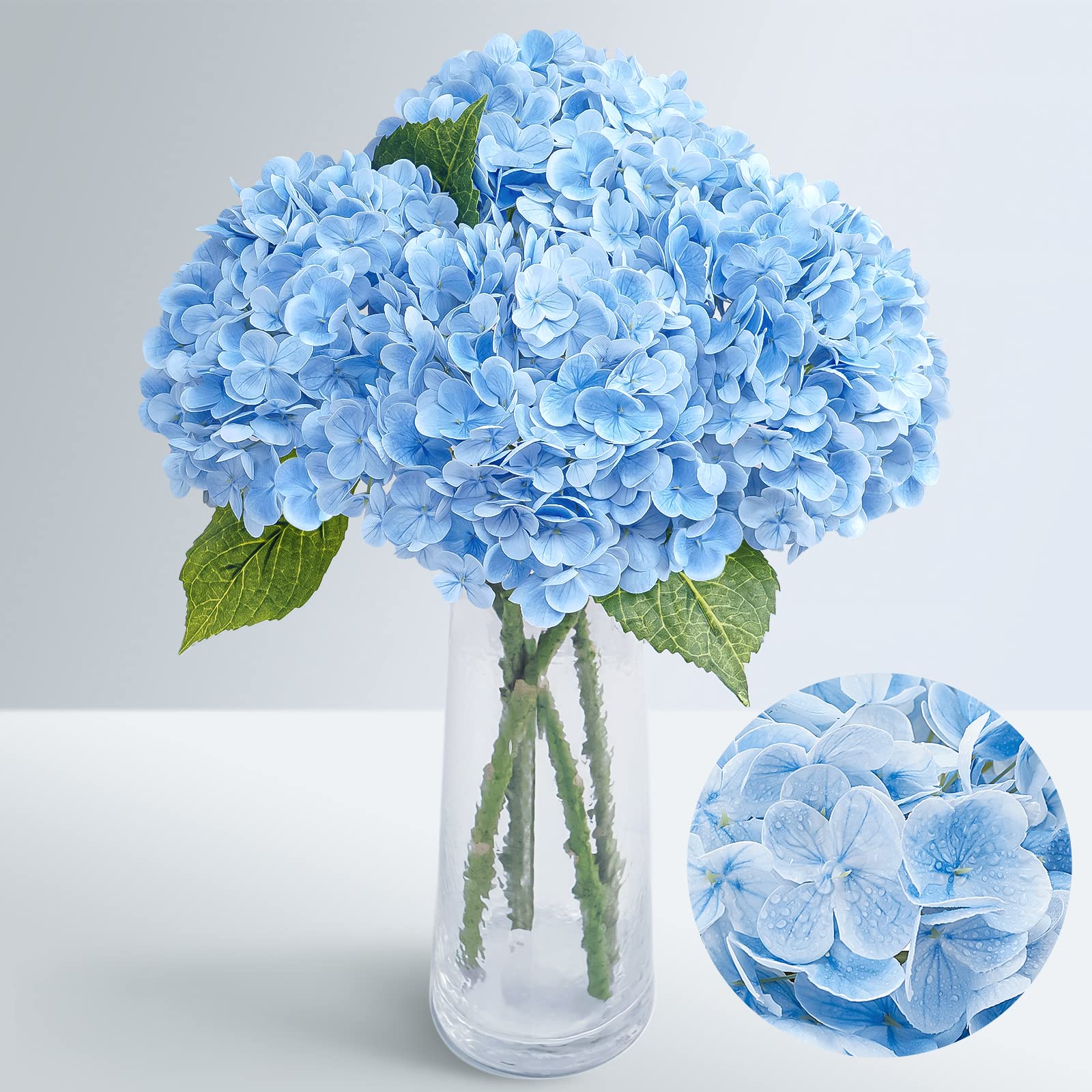 Cuidados com hortênsia azul