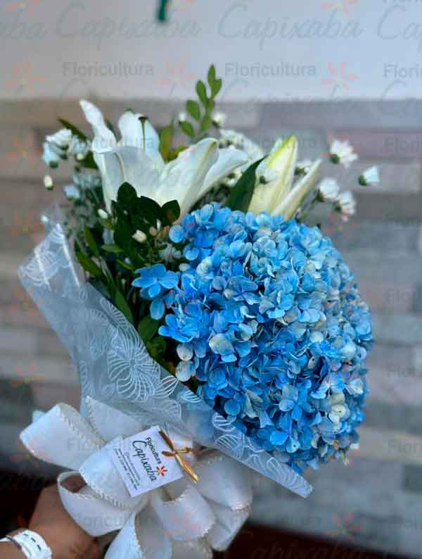 Rega de hortênsia azul
