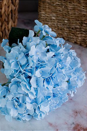 Adubo para hortênsia azul