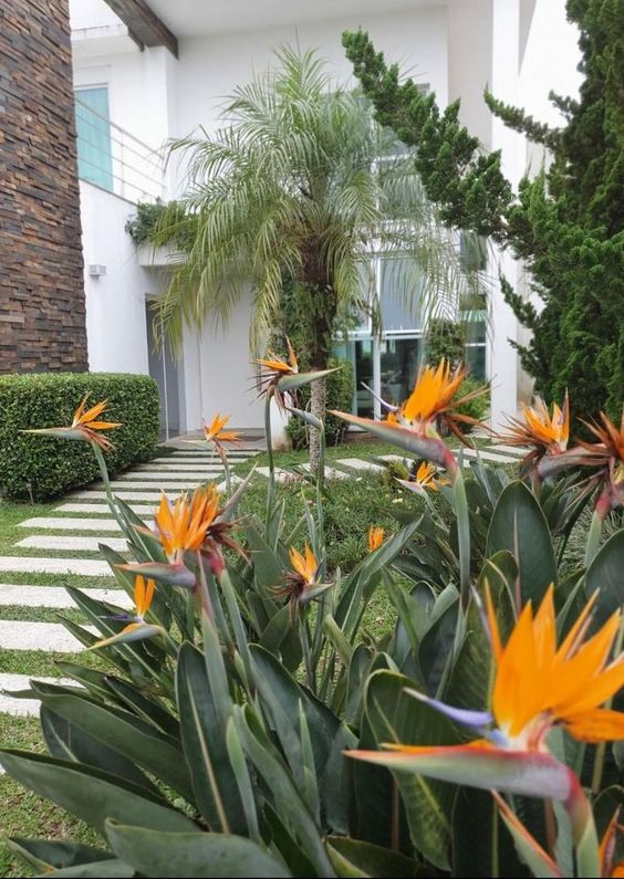 Transforme seu quintal em um jardim de chuva: passo a passo