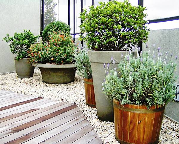 Transforme seu quintal em um jardim de chuva: passo a passo