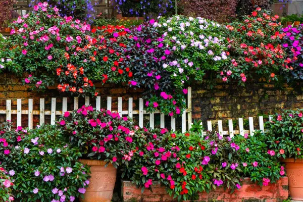 Guia completo de manutenção para seu jardim de chuva