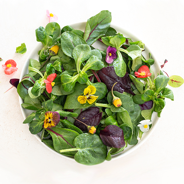 Hibisco: Do Chá Refrescante a Sobremesas