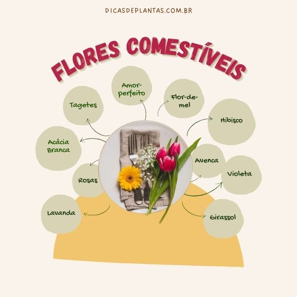 Receitas Deliciosas com Amor-Perfeito