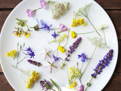 Benefícios da Lavanda na Culinária