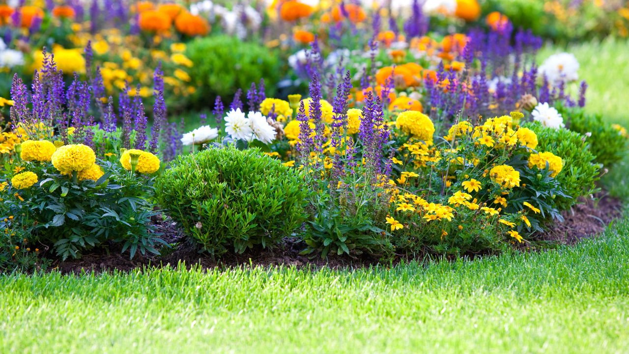 Criando um jardim que floresce ao amanhecer