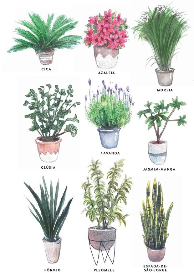 5 Melhores Vasos para Varandas Ventosas