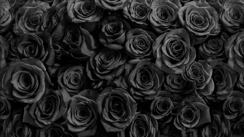 flores vinho tinto