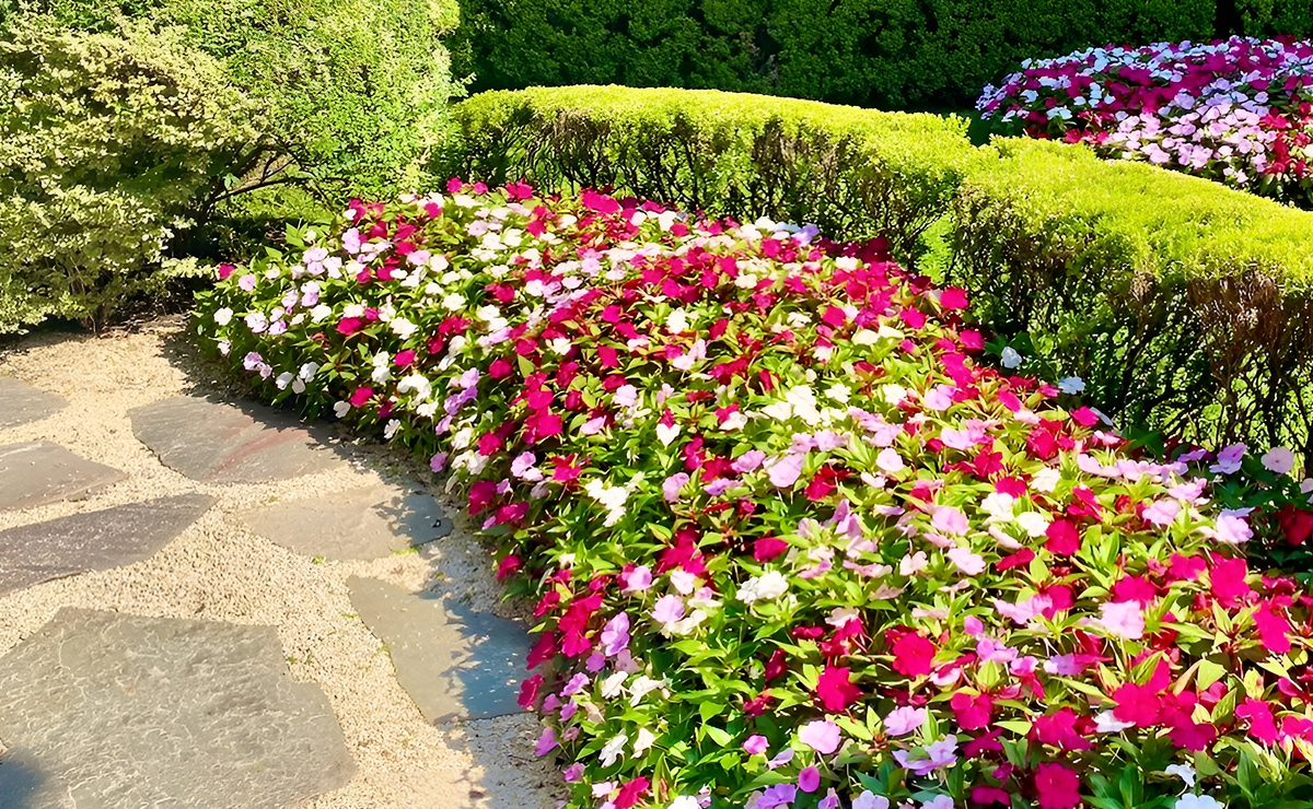 jardim florido em todas as estações