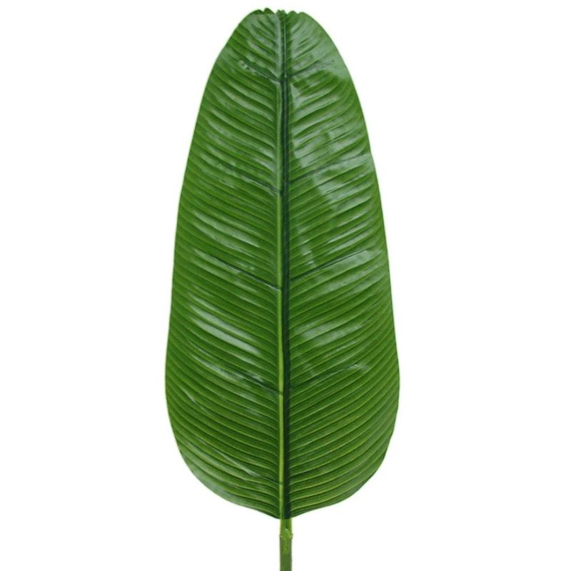 como usar folha de bananeira na culinária