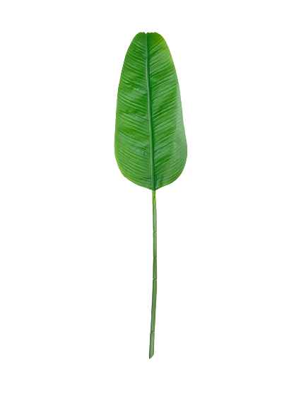 receitas com folha de bananeira