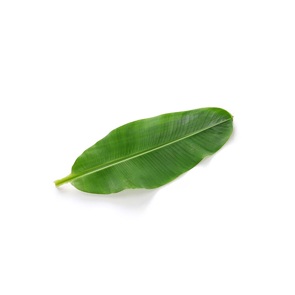 limpar folha de bananeira
