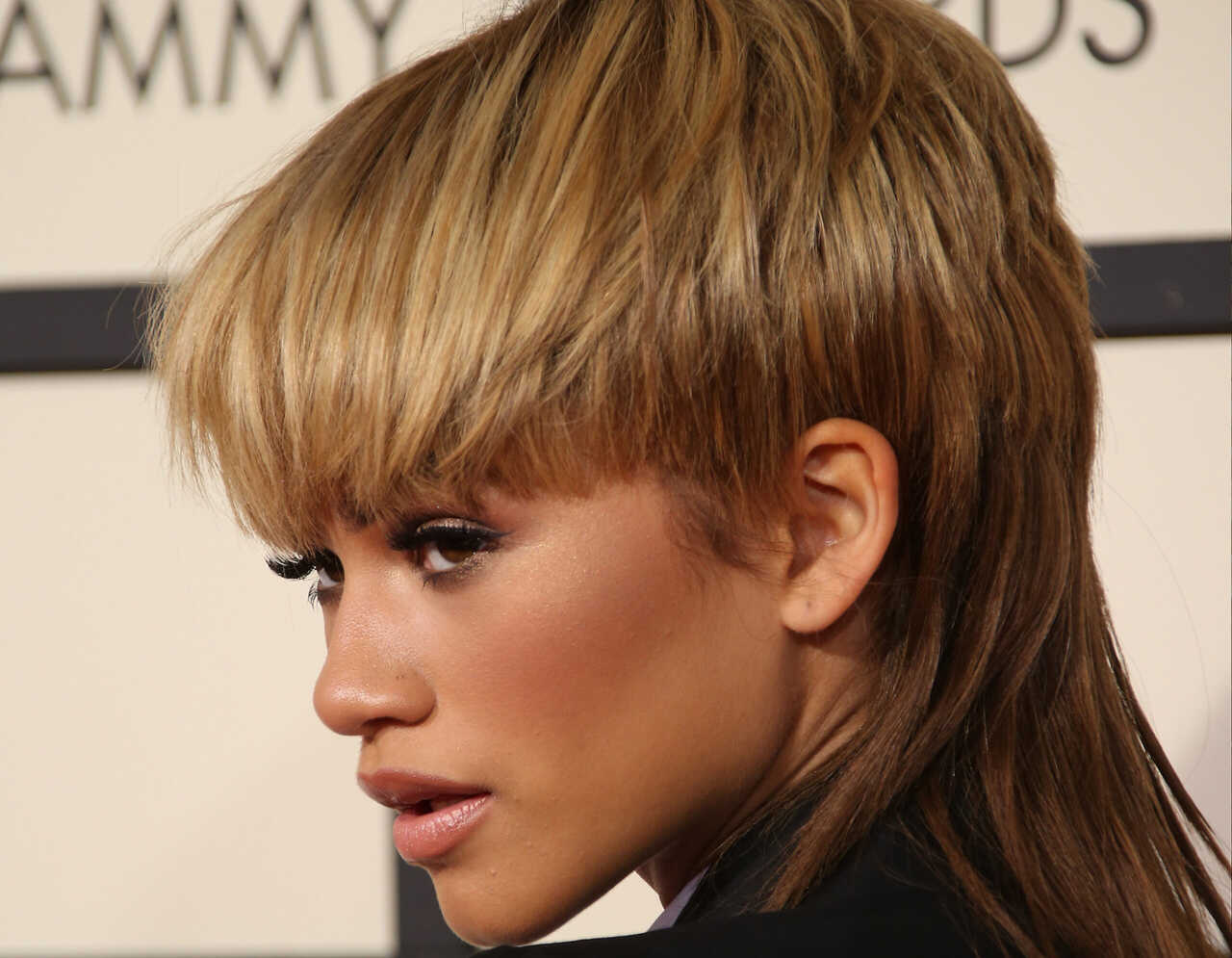 fotos de mullet feminino e masculino para se inspirar