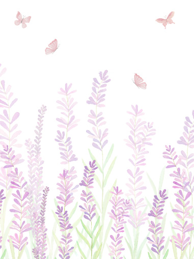 inspiração decoração jardim das borboletas