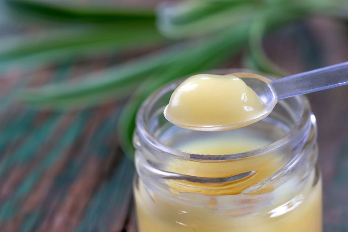 Receitas Saudáveis com Geleia Real para o Dia a Dia