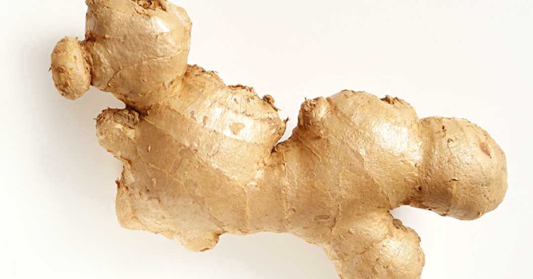 Como o Gengibre Ajuda na Perda de Peso: Um Guia Completo