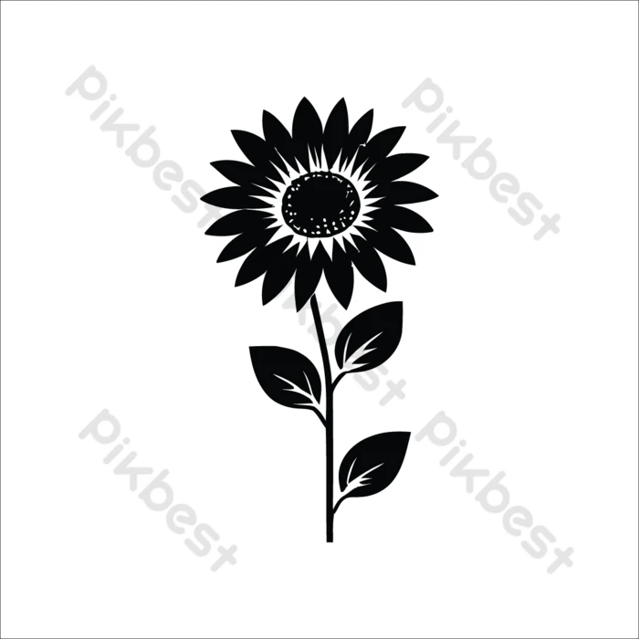 cultivo de girassol preto