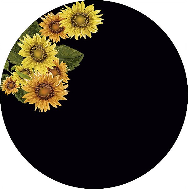 Helianthus annuus preto