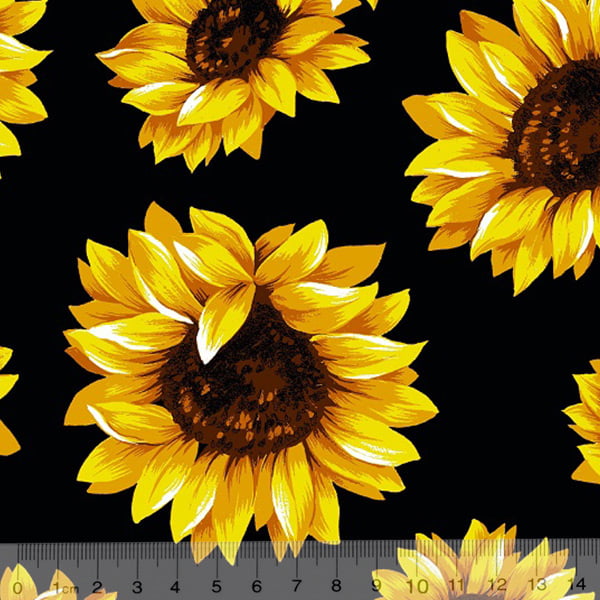 cultivo de girassol preto