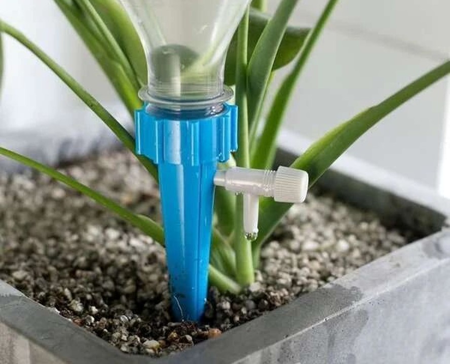 Planejando a Irrigação de Plantas Durante Longas Viagens