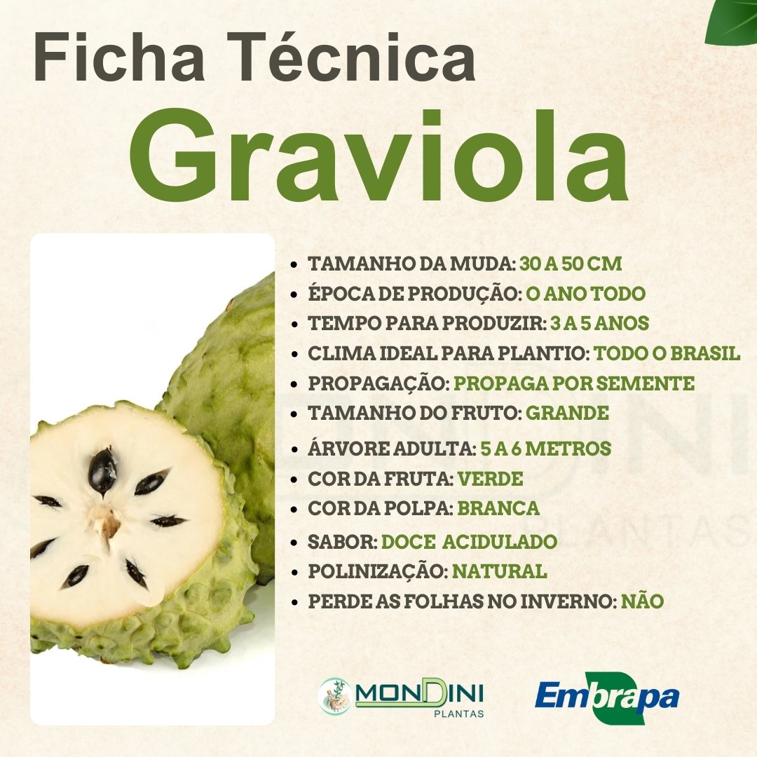 Graviola