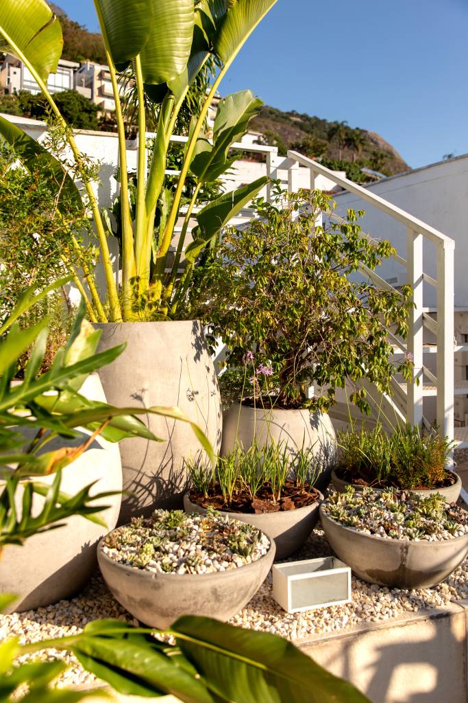 Guia Completo de Manutenção de Jardins Residenciais