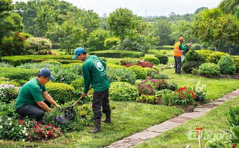As Melhores Plantas de Interior para Ambientes com Pouca Luz