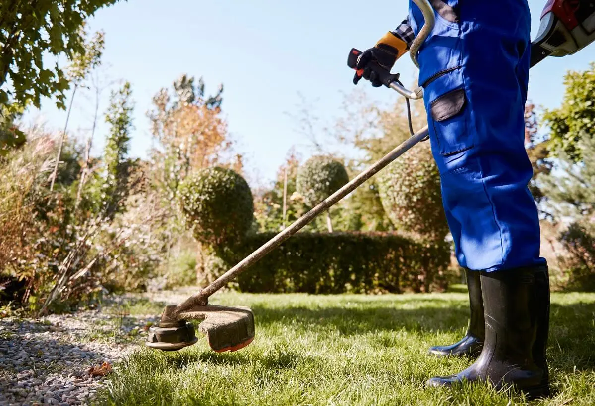 grupos de jardinagem no facebook